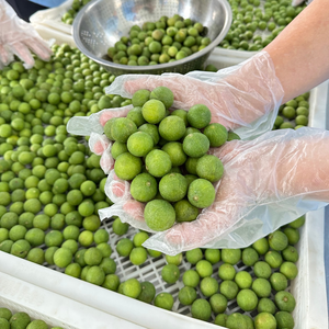 Dracontomelón congelado Premium de fruta tropical agria de Vietnam para el mercado global - Product Image 5