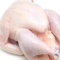 Poulet entier halal brésilien de qualité supérieure, sans graisses trans, enrichi en vitamines, vente en gros de poulet congelé