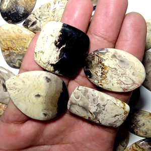 Cabujón Natural de ágata de raíz de Palma, piedra preciosa pulida a mano, lote de ágata de raíz de Palma suelta para fabricación de joyas - Product Image 2
