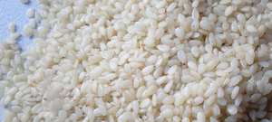 ราคาขายส่งเมล็ดงาจากเวียดนาม คุณภาพสูงและมีคุณค่าทางโภชนาการสูงเพื่อการส่งออกโดยตรงจาก Vigifarm - Product Image 3