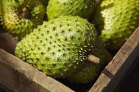 Vers Soursop fruit