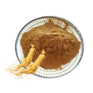 Ekstrak Herbal bubuk Ginseng Yang dapat larut dalam air bubuk Ginseng yang dapat dimakan bubuk konsentrat suplemen makanan bubuk