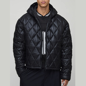 Winter Hot Selling Customized Color Canvas Puffer <b>Jacket</b> Unisex Custom <b>Mandarin</b> <b>Collar</b> Zipper Front Hooded Windproof Casual - Product Image 1