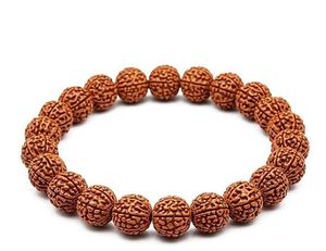 7 Mukhi Rudraksha Mala avec certificat 108 + 1 perles certifiées pour adulte unisexe (30 cm de longueur environ) - Product Image 5