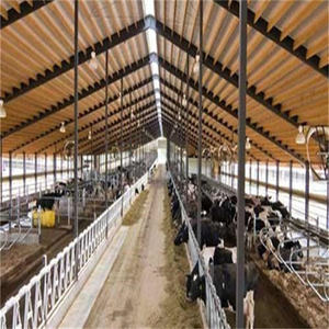 גדול תוחלת פלדת מבנה ייצור עיזים לשפוך - Product Image 2