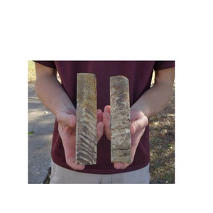 Losas de mango de cuchillo de cuerno de ariete natural de alto grado para entusiastas de la fabricación de cuchillos a un precio asequible por CRAFT ZONE EXPORT - Product Image 6