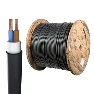 Insulated Underground Low Voltage Copper Electrical Cable Multi Core 2X6 2X10 YVV-U YVV-R - NYY - PVC High Quality