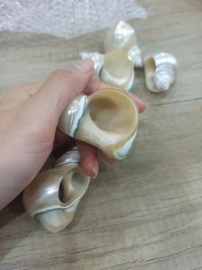 Anneaux de serviette en coquillage du Vietnam pour les commandes en gros, finition lisse pour les tables de restauration de villégiature - Product Image 3