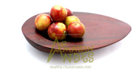 Polvo de Fruta de Camu-Camu Orgánico Premium, Extracto Herbal, Procedente de la Selva Tropical, Ingrediente Superalimento Más Vendido, Envasado al Vacío Natural