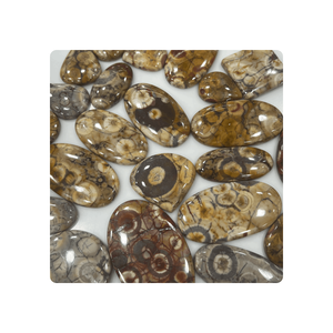 Lote al por Mayor de Cabujones de Jaspe Ojo de Pájaro Natural de Alta Calidad, Forma Mixta, Tamaño 20-40 mm, Piedra Preciosa para Joyería - Product Image 6