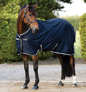 Manta de Invierno para Caballo, Impermeable y Transpirable, 1200D, para Doma Clásica, con Forro de Plumas, 2 Correas para las Patas, Ligera y de Lujo - Product Image 6