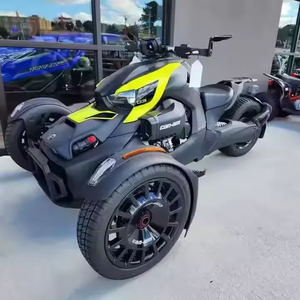 Can-Am Ryker Rally Rotax 900 ACE Industrial DIY OEM - Product Image 1