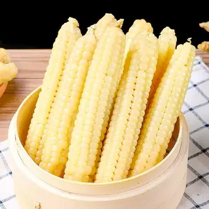 Maíz blanco sin OGM y maíz blanco para alimentación humana y animal Maíz blanco seco/Maíz - Product Image 6