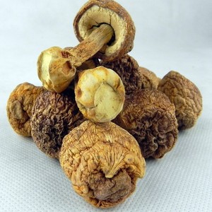 เห็ดหลินจือแห้งแบบ100% - Product Image 3