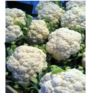 Mejor Precio Exportación Reino Unido Coliflor Fresca de Alta Calidad - Product Image 3