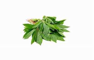 IMPULSO DE NUTRICIÓN EN BASE VEGETAL VERDE NATURAL DE HOJAS DE YUCA CONGELADAS PREMIUM - Product Image 6