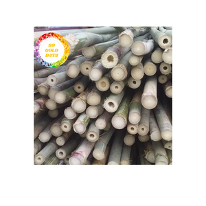 Bamboo <b>Garden</b> Plant Support Stakes Durable Natural Sticks <b>for</b> Climbing Vegetables Trees Flowers Landscaping Projects - Product Image 4