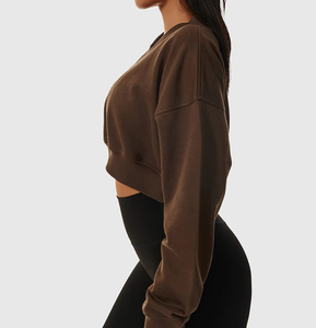 Casual Automne Hiver Couleur Personnalisée Manches Longues Femmes Dames Pull Court À Capuche pour Femmes Crop Hoodies Sweatshirts Tops - Product Image 2