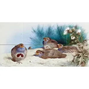 Partridge anglaise avec ajonc Mural 24x12 Cuisine Salle de bain Dosseret mural - Product Image 1