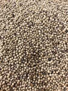 Poivre blanc biologique à vendre - Product Image 6