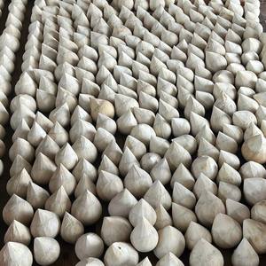 Noix de coco entière polie jeune et fraîche, Cocco Fresco Lucidato, Coco Fresco Polido, pour importateur - Product Image 5