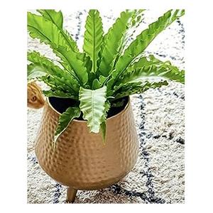 Vente chaude 2023 jardinières et pots martelés finition décorative pour la maison et la décoration de mariage jardinières en métal au prix le plus bas - Product Image 3