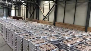 Briquetas y patrones de palos de madera certificados de 6mm Embalaje de bolsa de leña de aserrín - Product Image 5