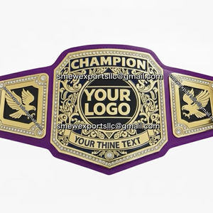 Ceintures de championnat de boxe personnalisées, ceinture de championnat de lutte professionnelle, meilleure ceinture de championnat, ceinture de championnat vierge - Product Image 1
