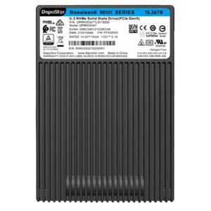 DapuStor Roealsen 6 R6 SSD - Product Image 1