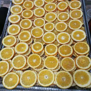 Fourniture en gros de tranches d'orange séchées pour garniture de cocktails et mélange de thé, décoration intérieure et décorations de fêtes - Product Image 5