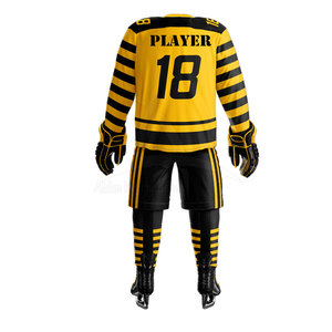 Uniforme de Hockey sur Glace ALDEN INTERNATIONAL 100% Polyester Respirant Séchage Rapide Personnalisable Maillot d'Équipe de Haute Qualité Personnalisé - Product Image 3
