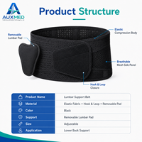 Ceinture de soutien lombaire en nylon respirant avec coussinet amovible et attelle de taille élastique réglable pour la rééducation (vente en gros)