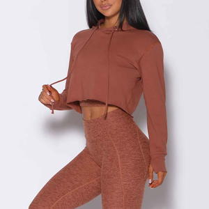 Jersey de lana de gimnasio de manga larga personalizado de alta calidad para damas, chándal de algodón al por mayor, gran oferta, cultivo con capucha para otoño - Product Image 1