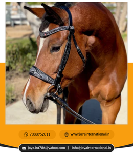 Édition limitée Medusa Snaffle Bridle No Flash Meilleure Qualité Vente en gros Dressage Brides Fournisseur non pérenne - Product Image 4