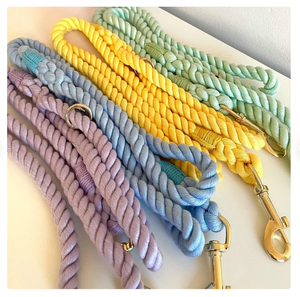 Walking Durable Dog <b>Leash</b> <b>Pet</b> Supplies Accessory Customized Colored Cotton Rope Handmade Dog <b>Leash</b> <b>Pet</b> <b>Leash</b> - Product Image 3