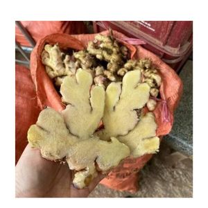 Fabricante vietnamita de jengibre de Búfalo, embalaje personalizado, todos los tamaños, jengibre fresco para exportación directa de alimentos - Product Image 6