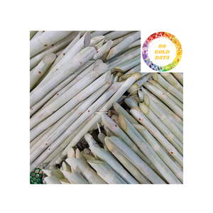 Palitos cortados de caña de azúcar congelados listos para usar para tiendas de exprimidores y distribución internacional - Product Image 2