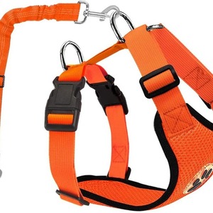 Chaleco <span class=keywords><strong>de</strong></span> arnés <span class=keywords><strong>de</strong></span> asiento <span class=keywords><strong>de</strong></span> perro con hebilla ajustable <span class=keywords><strong>de</strong></span> <span class=keywords><strong>seguridad</strong></span> con cinturón <span class=keywords><strong>de</strong></span> nailon resistente <span class=keywords><strong>para</strong></span> automóviles - Product Image 5