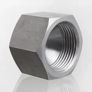 Conector Hidráulico UNF para Tuerca Ciega, Recubrimiento de Zinc y Níquel, Insertos de Rosca Verschluss AJ - Product Image 1