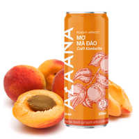 Kombucha Thee Huidverzorging Goede Prijs Fruit Gearomatiseerde Vitamine Goed Alcoholvrij Klaar Om Te Drinken Gemaakt In Vietnam Fabrikant