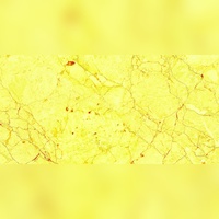 Carreaux Vitrifiés Antibactériens Effet Brillant Hypnotique 600x1200mm Design Moderne pour Halls d'Entreprises, Salles de Bain et Espaces Privés