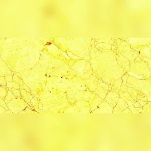 Carreaux vitrifiés à finition brillante hypnotique 600x1200mm pour des déclarations audacieuses dans les halls d'entreprises et les retraites privées - Product Image 6