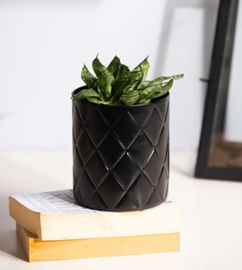 Mini macetas colgantes de diseño moderno exclusivas, maceta recubierta de polvo para jardín, hogar, balcón, sala de estar, eleva tu espacio - Product Image 2