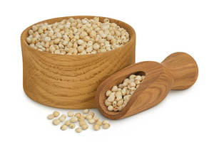 Sorgho blanc de qualité supérieure, naturellement sucré et séché, très nutritif, provenant des Pays-Bas, avec une durée de conservation de 24 mois - Product Image 2