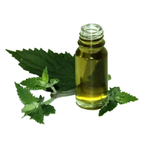 High Quality Therapeutic Grade Catnip <b>Oil</b> (Lemon Type) Quality Assured Rose Ingredient Manufactured India Wholesale Suppliers - Product Image 1