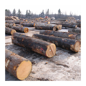 Bûches en bois de hêtre en vrac pour poêle à feu ou foyer extérieur livrées sèches et prêtes à brûler dans tout le pays - Product Image 5