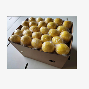 Limón Fresco, Fruta Cítrica de Primera Calidad, Jugosa, Amarillo Brillante, Venta al por Mayor a Granel, Exportación Directa de Granja - Product Image 3