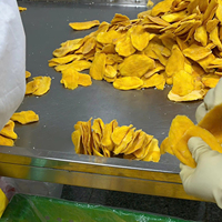 Mangues séchées tropicales douces du Vietnam, collation naturelle de haute qualité, Techmifood Vietnam, en vrac pour les importateurs de l'industrie alimentaire dans le monde entier