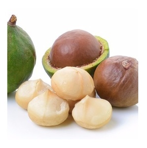 Nueces de Macadamia Crudas 100% Orgánicas Deliciosas de Alta Calidad al por Mayor - Product Image 2