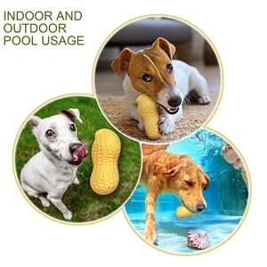 Hiphoppet toptan çevre dostu gıcırtılı köpek çiğneme oyuncakları dayanıklı doğal sevimli 3D kauçuk fıstık oyuncak Pet köpek diş temizleme için - Product Image 4